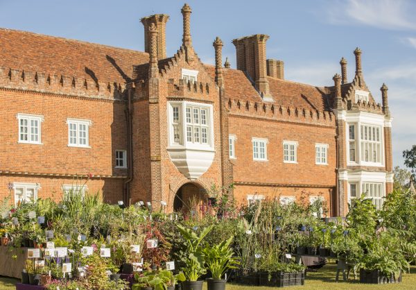 Spring Plant Fair with Artisan Market