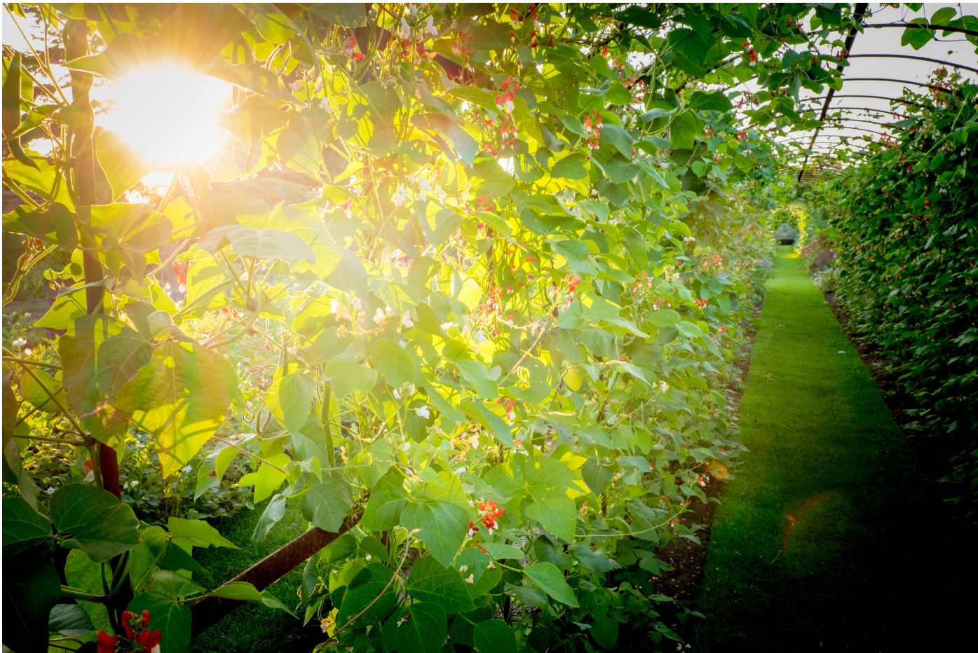 Midsummer Nights 13th July