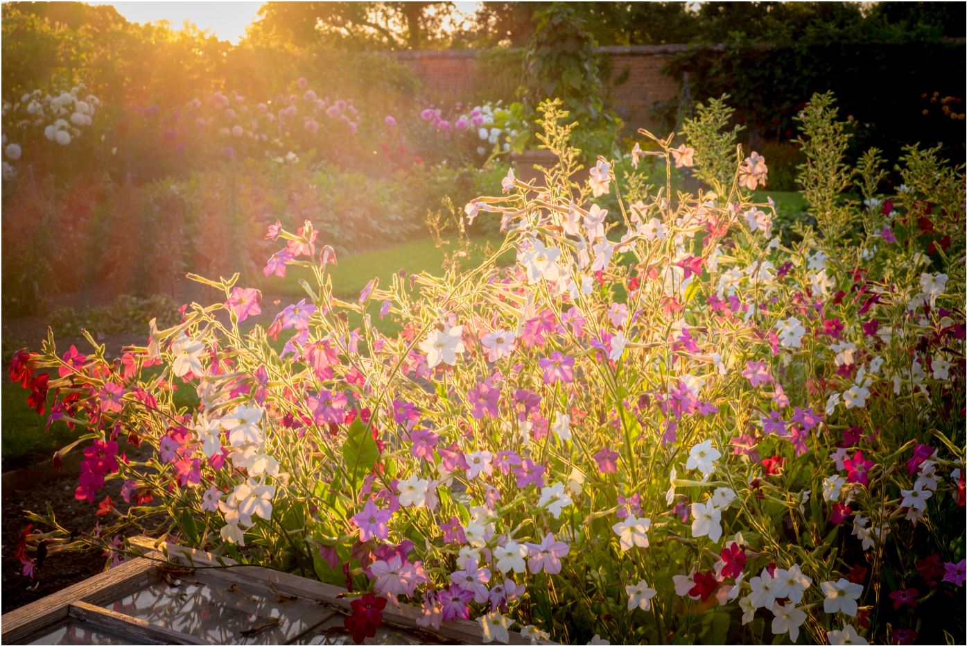 Midsummer Nights 29th June