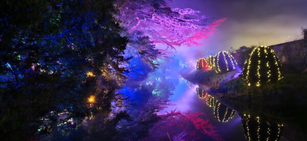 Illuminated Garden Trail
